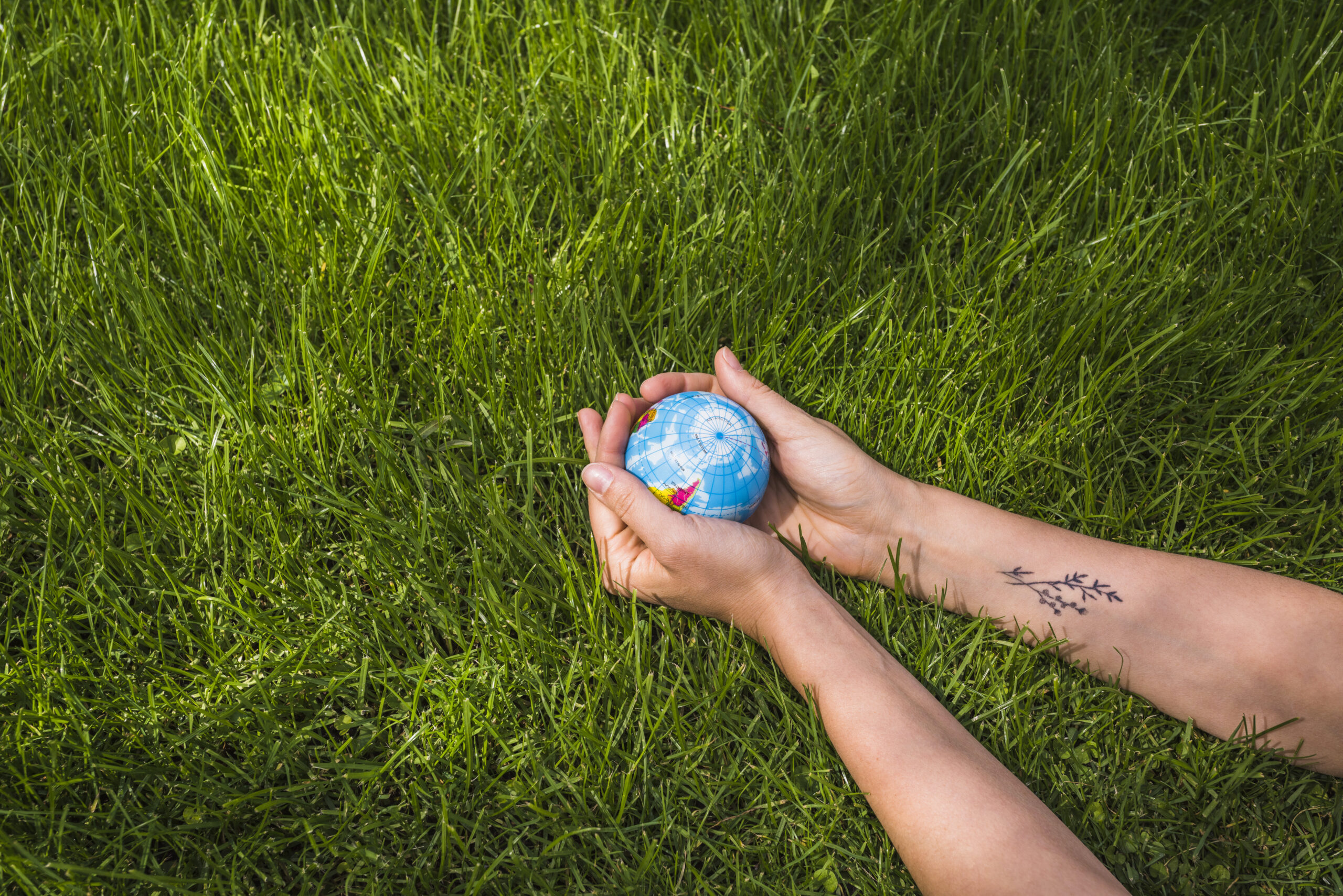 overhead-view-hands-holding-globe-ball-green-grass